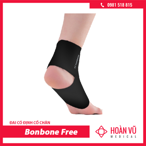 dai-co-dinh-co-chan-Bonbone-Free